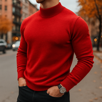 Herren Pullover mit Halb-Rollkragen