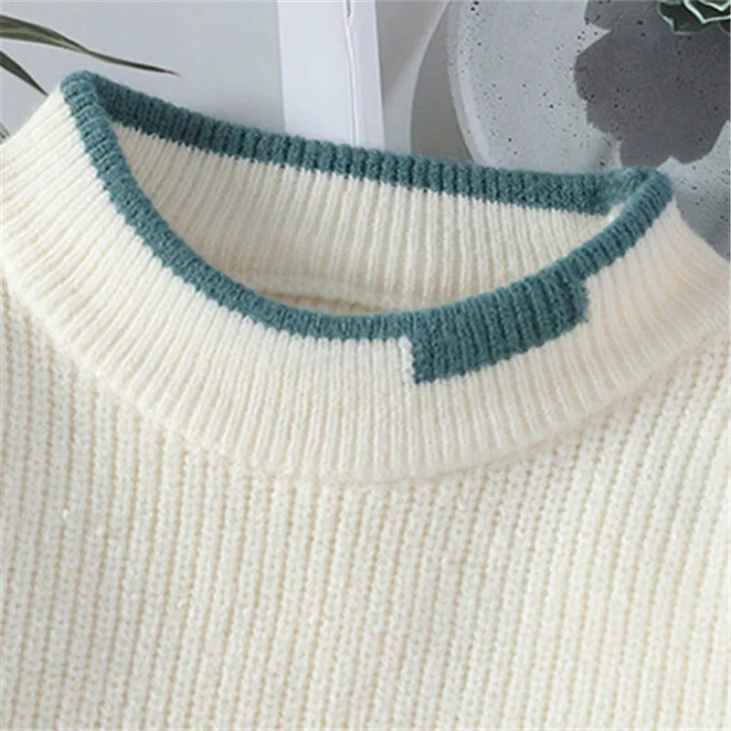 Herren Pullover mit Colour-Block-Design und Rippstruktur